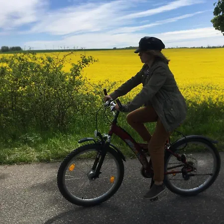 Alojamento de Turismo Rural La Petite France Parnowo