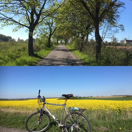 Alojamento de Turismo Rural La Petite France
