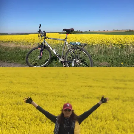 Alojamento de Turismo Rural La Petite France *