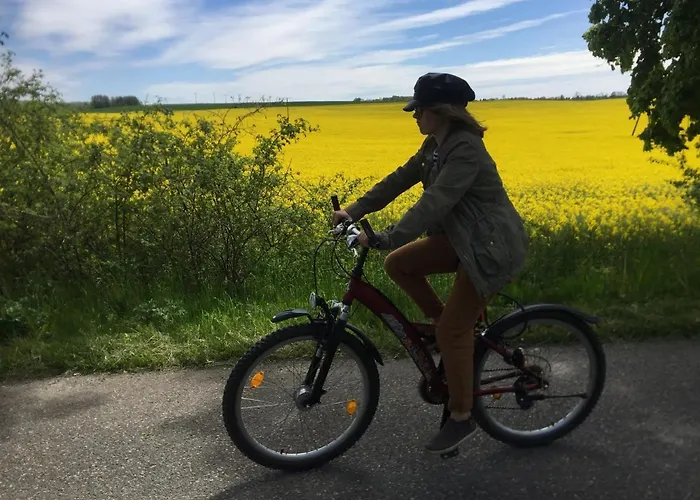 Gospodarstwo agroturystyczne La Petite France Parnowo