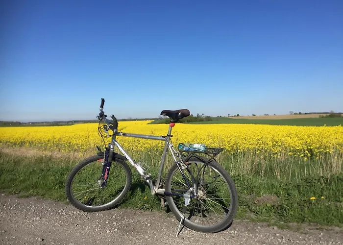 Gospodarstwo agroturystyczne La Petite France Parnowo