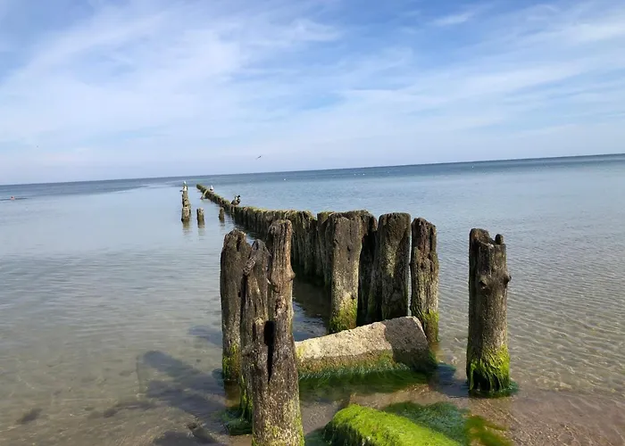La Petite France Séjour à la ferme
