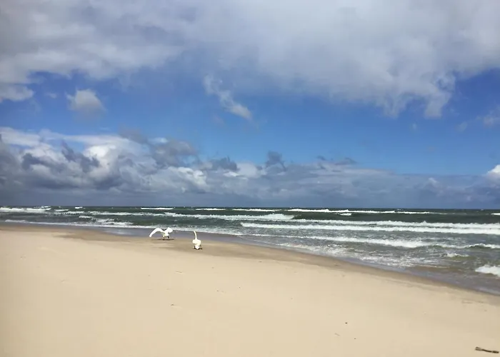La Petite France Séjour à la ferme